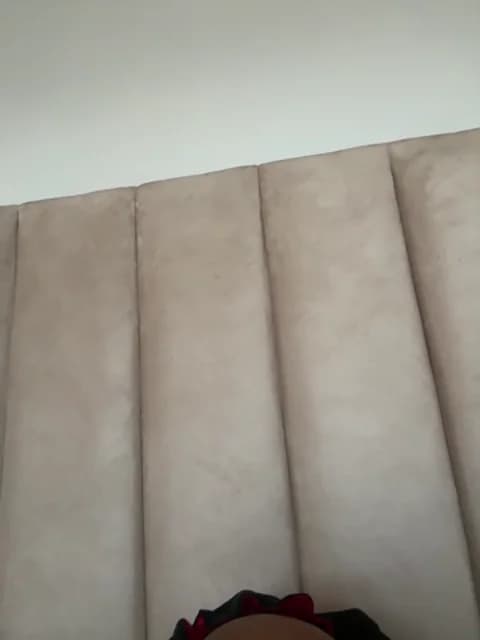 Stream BonnyMolhada Live - 41 min | May 9, 2026 06:48