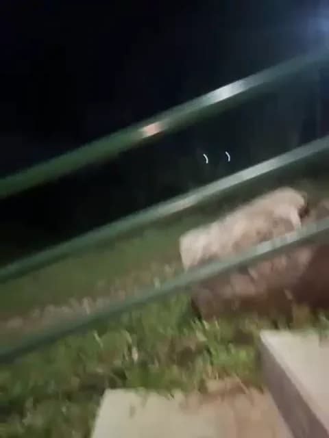 Stream Debby_ryann Live - 42 min | May 7, 2026 06:51