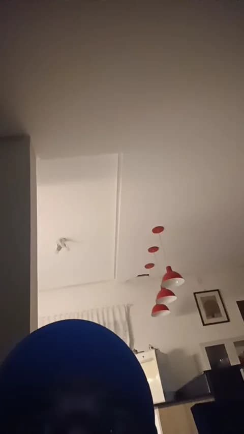 Stream PeludassoBaiano Live - 32 min | Apr 18, 2026 03:29