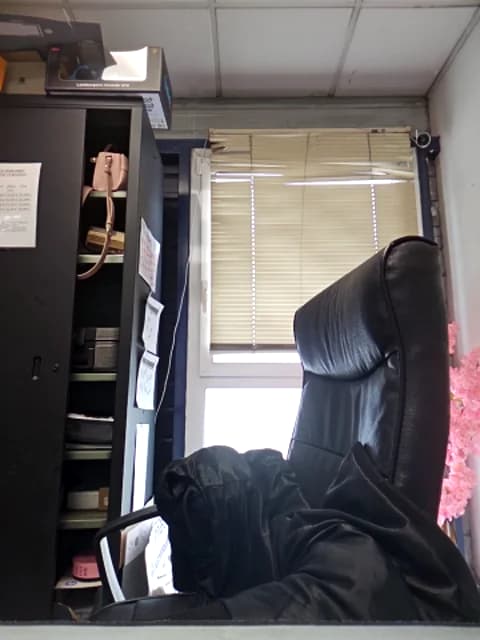 Stream Sarajaymicorazon088 Live - 120 min | Apr 15, 2026 14:12