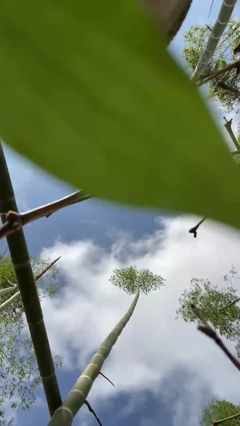 Stream Stailers Live - 41 min | Jan 14, 2026 15:42