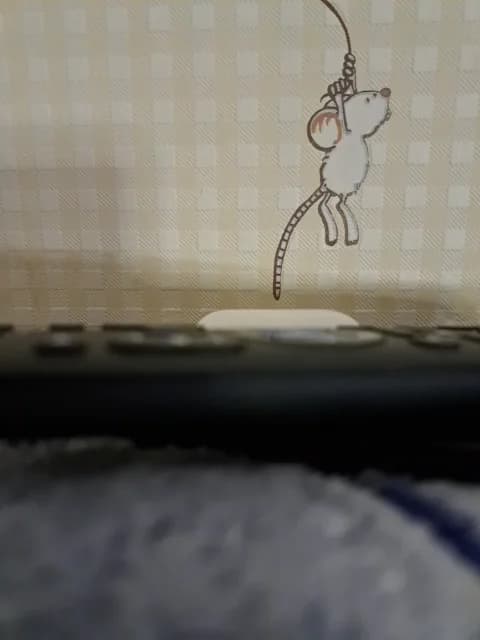 Stream SweetPraGG Live - 36 min | Feb 2, 2026 23:09