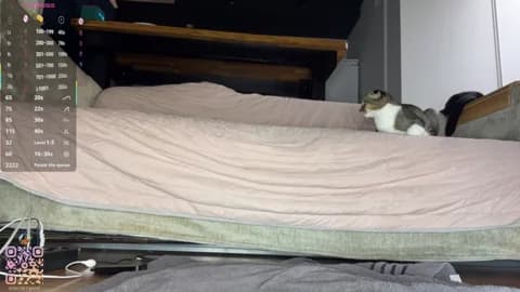 Stream SweetSakuraJane Live - 83 min | Apr 1, 2026 02:33