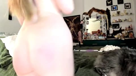 Stream eve003300 Live - 90 min | Feb 21, 2026 04:17