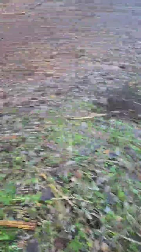 Stream likescock5 Live - 64 min | Jan 16, 2026 16:36