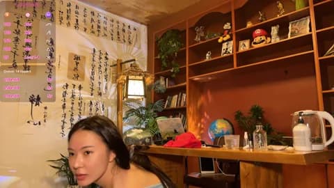 Stream meowLili Live - 62 min | Apr 12, 2026 14:13