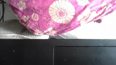 Stream pilarcita33 Live - 31 min | Apr 25, 2026 09:42