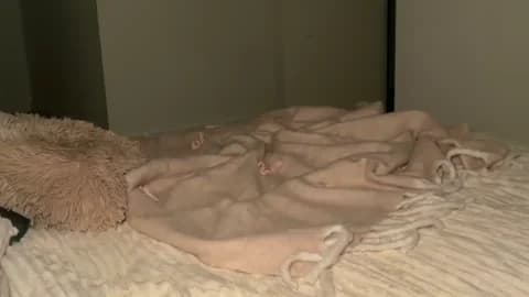 Stream taliavaine Live - 100 min | Jan 19, 2026 20:56